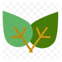 Hoja Eco Verde Icono