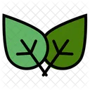 Hoja Eco Verde Icono