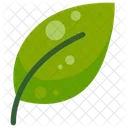 Hoja Hojas Naturaleza Icon