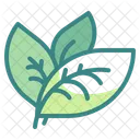 Hoja Ecologia Medio Ambiente Icono