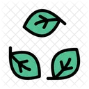 Eco Hoja Verde Icono