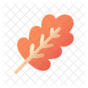 Hoja Follaje Hoja De Arbol Icono