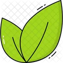 Hoja Naturaleza Planta Icono