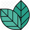 Hoja  Icon