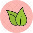 Hoja  Icon