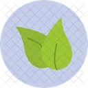 Hoja  Icon