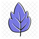 Hoja Planta Botanica Icon