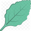 Hoja Naturaleza Verdor Icon