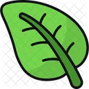 Hoja Ecologia Naturaleza Icono