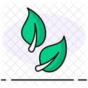 Hoja Naturaleza Planta Icon