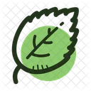 Hoja de albahaca  Icono