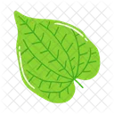 Hoja de betel  Icono