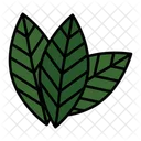 Hoja de laurel  Icono