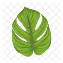 Hoja De Monstera Naturaleza Planta Icon