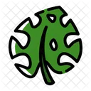 Hoja de monstera  Icono
