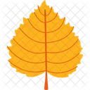 Hoja de otoño  Icono