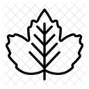 Hoja De Otono Hoja Naturaleza Icono