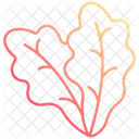 Hoja de rúcula  Icono