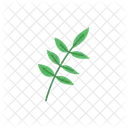 Hoja Vector Cero Residuos Icono