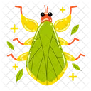 Insecto hoja  Icon