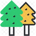Hojas Perennes Arboles Abeto Icono