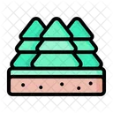 Hojas perennes  Icono
