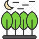 Hojas perennes  Icono
