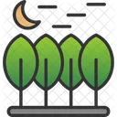 Hojas perennes  Icono