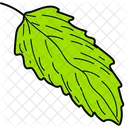 Hoja verde  Icono