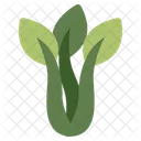 Hojas Eco Ecologia Icono