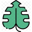 Hojas Hojas Hojas Verdes Icono