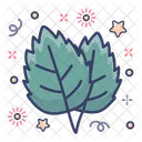 Hojas Hojas Ecologicas Hojas De Plantas Icono