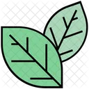 Verano Hojas Verde Icono