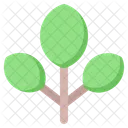 Hojas Hojas Naturaleza Icono