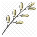 Hojas Planta Naturaleza Icono