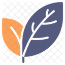 Hojas Primavera Temporada Icono