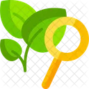 Hojas Naturaleza Arbol Icono