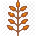 Hojas Otono Naturaleza Icono