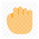 Hold Hand Pointer  Icon