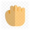 Hold Hand Pointer  Icon
