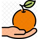 Hand Hold Orange Icon