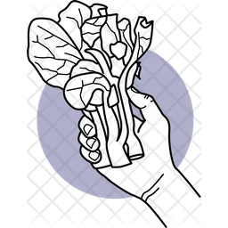 Holding Cabbage  Icon