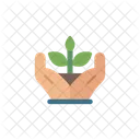 Holding Sprout Icon