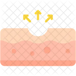 Hole  Icon