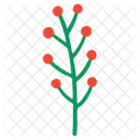 Holly Berries Holly Sprig Icon