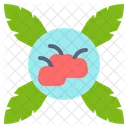 Holly Fruit Red Icon