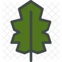 Holly Leaf Nature Icon