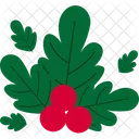 Berry Holly Leaves Christmas Icon
