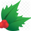 Holly Berry Christmas Decoration Leaves Icon