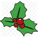 Holly berry  Icon